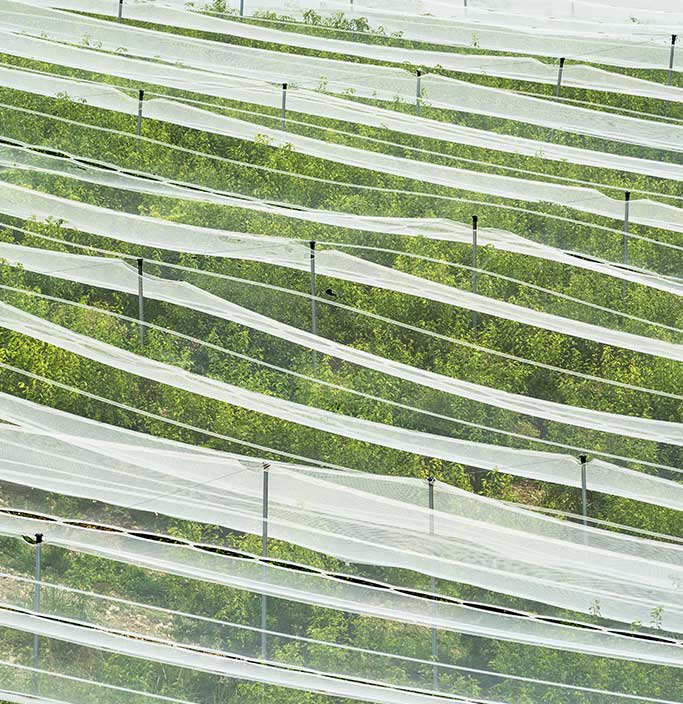 Vente de plaquettes Easyclip pr&egrave;s d&rsquo;Agen dans le Lot-et-Garonne