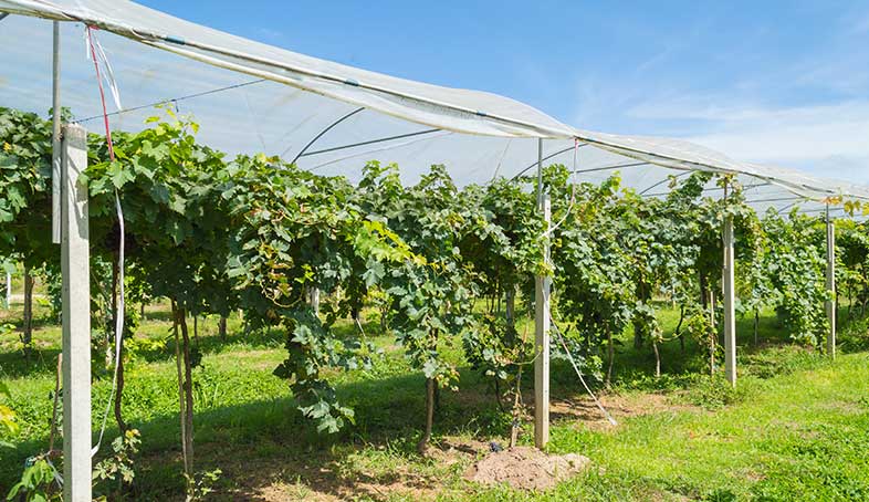 Plaquettes Easyclip en polypropyl&egrave;ne