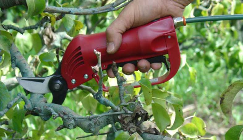 Les caract&eacute;ristiques du s&eacute;cateur pneumatique